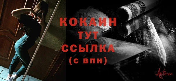 крисы Бронницы