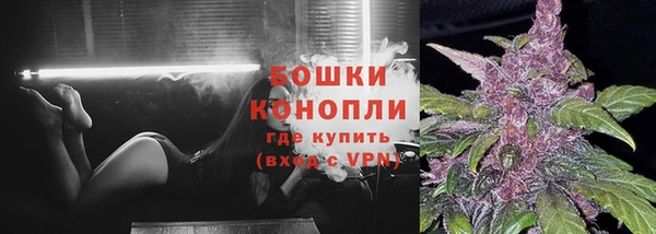 крисы Бронницы