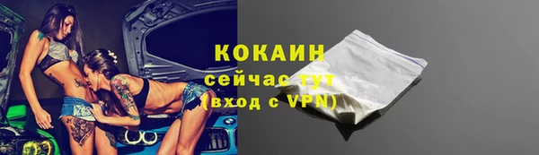 винт Нея
