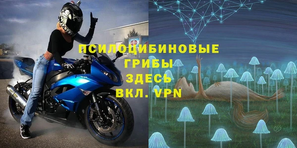 марки lsd Бородино