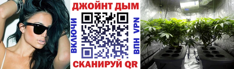 Шишки марихуана план  продажа наркотиков  Губаха 